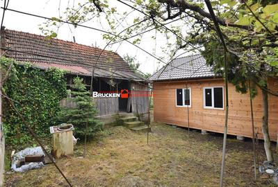 Casă cu 2 camere cu Teren 3132 Mp în Almașu Mic (Balc) - 8