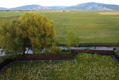 Casă unică în Prejmer, cu teren generos - 8