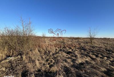 Spațiu comercial, în Central