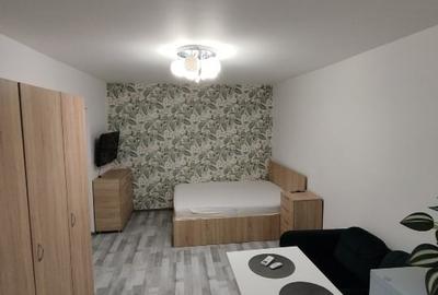 Garsoniera de inchiriat 1 Decembrie/Trapezului - 6