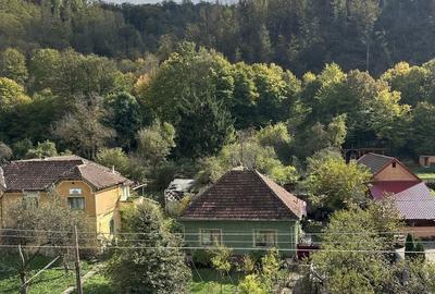 Apartament cu 2 camere decomandat în Bârzești - 3