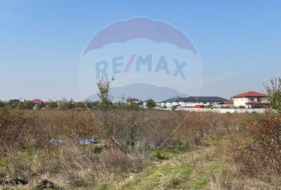 Teren agricol intravilan de 10167 mp, în Central - 8