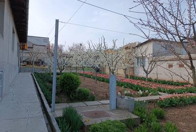 Casă cu 4 camere cu Teren 1000 Mp în Medgidia - 7