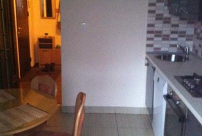 Apartament cu 3 camere decomandat în Gorjului - 9