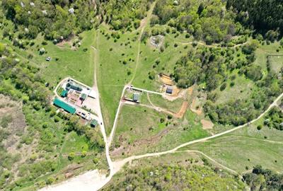 Teren Intravilan parcele 1000mp - 5