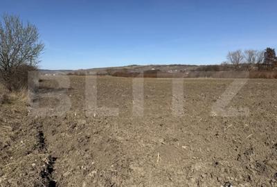 Teren în Hereclean - 3