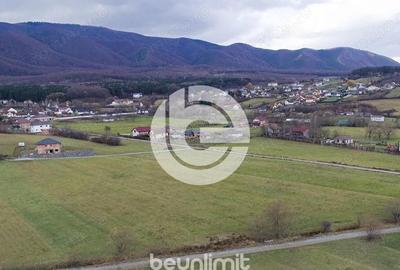 Teren intravilan in Tocile - 4354 m2 - 2 fronturi - oferta competitiva - 16