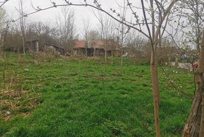 Teren de 1820 mp, în Ghirbom - 6