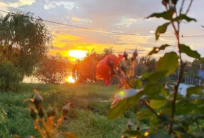 Casa pe lac de vanzare! - 3