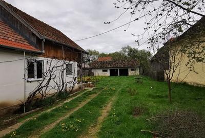 Casă cu 2 camere în Bita - 4
