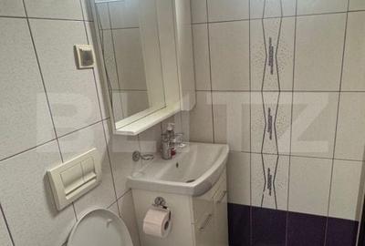Apartament cu 4 camere în Viișoara - 8