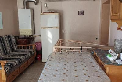 Casă cu Teren 1500 Mp în Teiu - 3