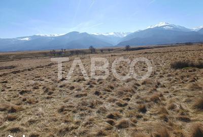 Teren de 6868 mp, în Recea - 2