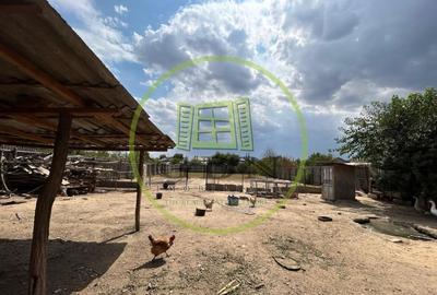 Casa Parter, 1432 MP teren,140 utili , Isalnita - 14