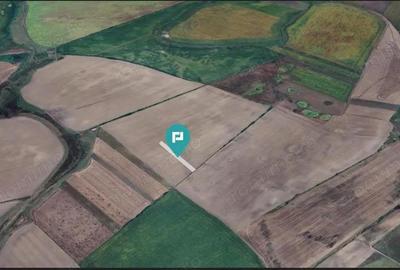 Teren agricol 3200 mp in Caporal Alexa - 3