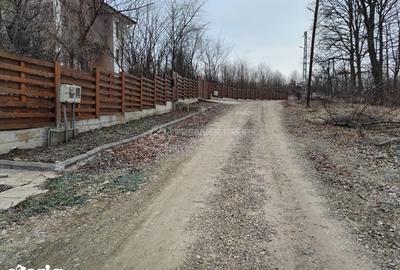 Teren de 975 mp, în Bârnova - 2
