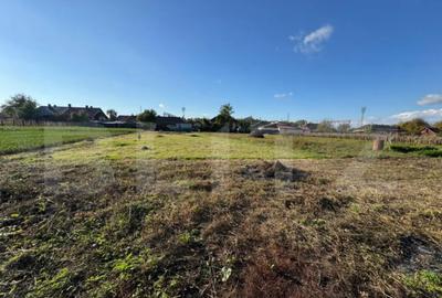 Casă cu 3 camere cu Teren 1079 Mp în Central