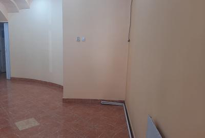 Inchiriez saptiu comercial -zona centrala cu vad comercial bun - 3