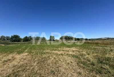 Comision 0% Teren intravilan 2000 mp cu utilitati zona Oltului Fagaras - 5