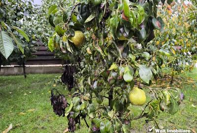 Casa individuala, 200 mp utili, 748 mp teren, Apahida, strada linistita Casa individuala, 200 mp utili, 748 mp teren, Apahida, strada linistita - 29