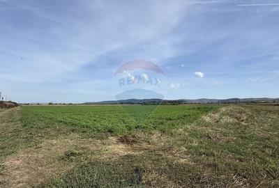 Teren Investitii  |  Zona Tetarom III-Bontida-Rascruci - 2