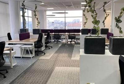 Maestro Business Center - 5