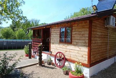 Casă cu Teren 2693 Mp în Gornea - 7