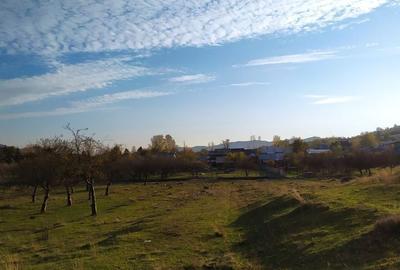 Spațiu comercial, în Voila - 17