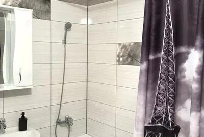 Garsoniera confortabila zona Salajan - 2