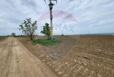 Teren in Magura/Bacau de vanzare - 4