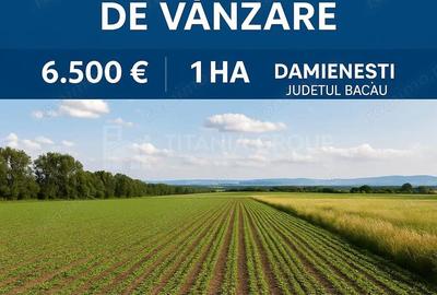 Teren de 10000 mp, în Dămienești - 2