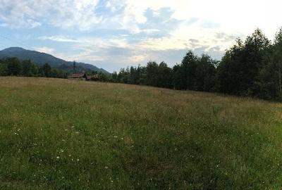 Teren de 12000 mp, în Uric - 4