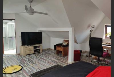 House for sale in central Sighetu Marmației - Maramureș - 7