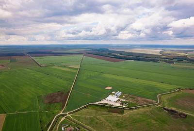 Teren de 13500000 mp, în Socodor - 14