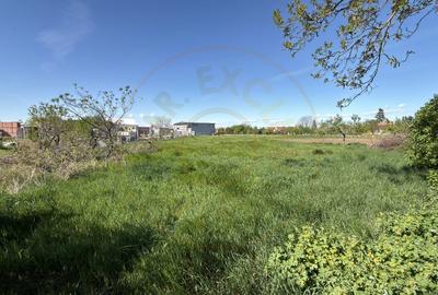 Teren Construcții intravilan de 3442 mp, în Carei - 2