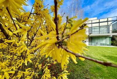 Casă individuală cu 6 camere cu Canalizare în Băneasa - 2