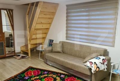 EXCLUSIV BLITZ !  Cabana in statiunea Muntele Baisorii - 8