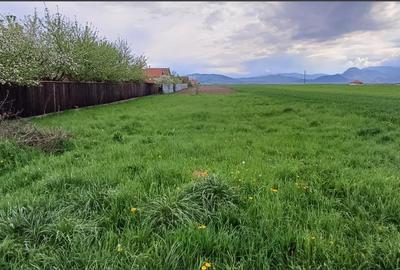 Teren 1000mp Prejmer - 3