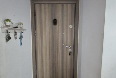 Penthouse cu 4 camere decomandat, mobilat în Theodor Pallady - 9