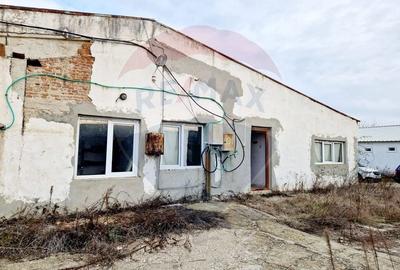 HALA INDUSTRIALA zona Bradesti 600 mp utili / Stradal DE70 - 3