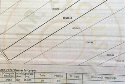 Teren de 10000 mp, în Albota - 3