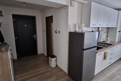 Apartament cu 2 camere semidecomandat în Ultracentral - 8