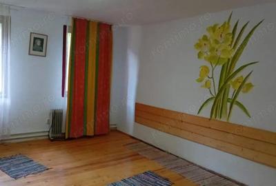 Casa de vacanta Crivaia, langa Valiug locatie idilica, ideala pentru timp liber - 8