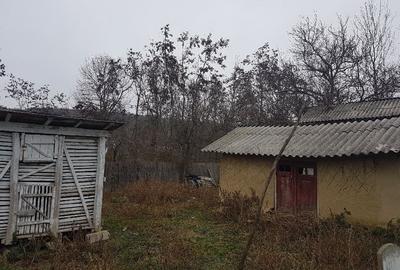 Casă cu 4 camere cu Teren 1680 Mp în Buhăiești - 2