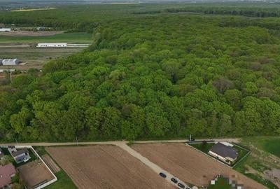 Spațiu comercial, în Ciolpani - 6