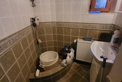 Vila boiereasca, superba, strada, linistita, nelipita de vreun alt imobil Vila boiereasca, superba, strada, linistita, nelipita de vreun alt imobil - 33