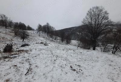 Teren de 2746 mp, în Alexandru cel Bun - 3