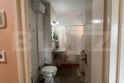 Apartamentde vanzare, cu 2 camere, 47 mp, cartierul Vasile Aaron - 8