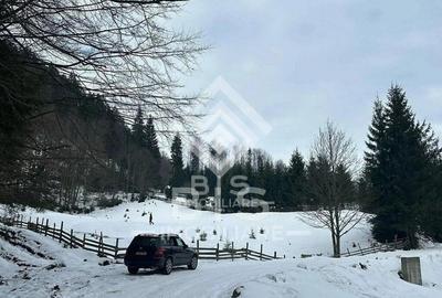 Teren de 6000 mp, în Sud - 3