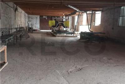 RECO Hale predestinate prelucrarea lemnului, loc. Auseu, sat - 1